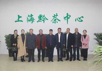 汖明西秀 | 走访上海大宁国际茶城&帝芙特茶文化广场