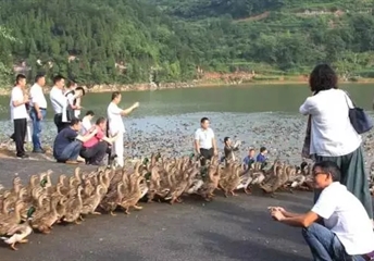 五岳华夏、沃土研究院走进贵州松桃县