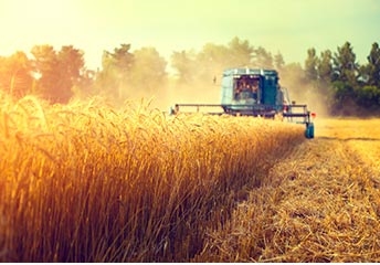 带你走进五台山静音寺 ——文殊禅林规划项目考察