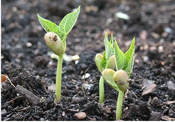 邯郸永年县合作项目